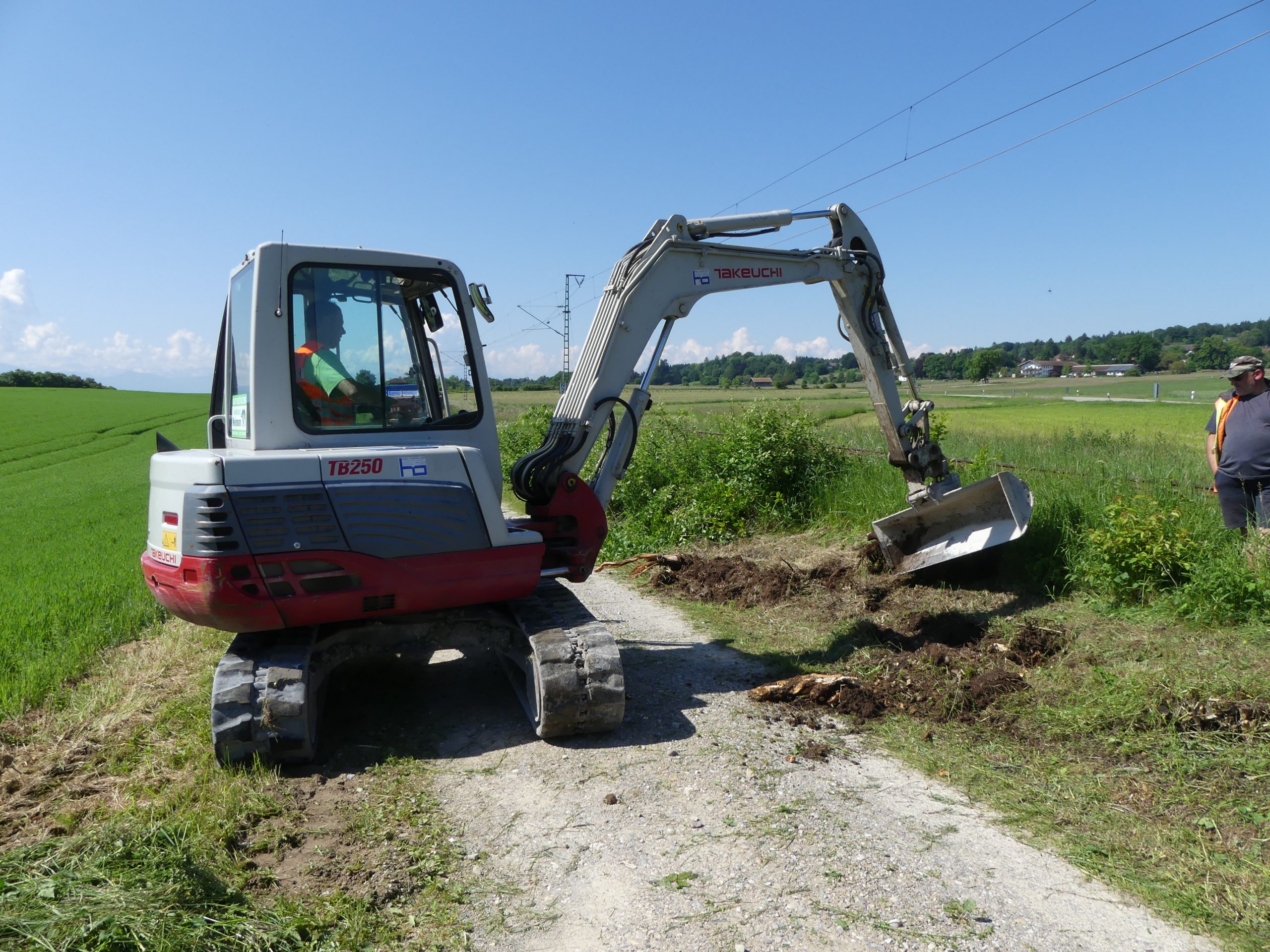 Anlegen von Habitatstrukturen Zauneidechse