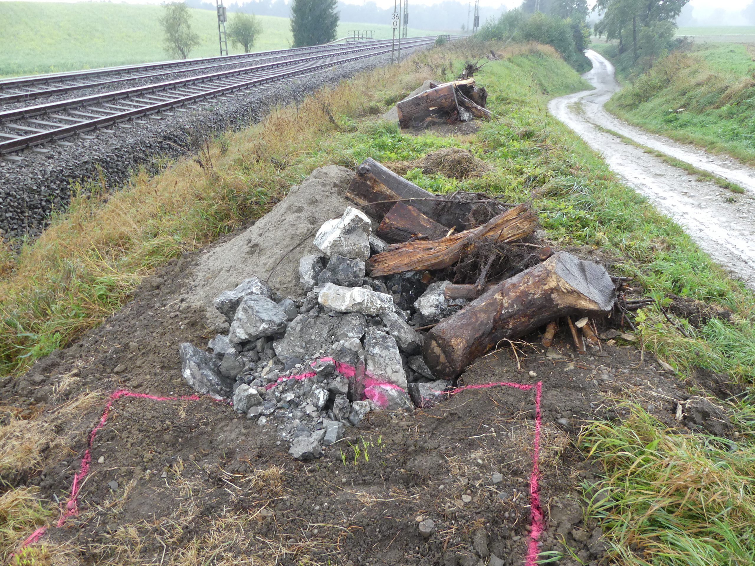 unfertige Habitatstruktur Zauneidechse