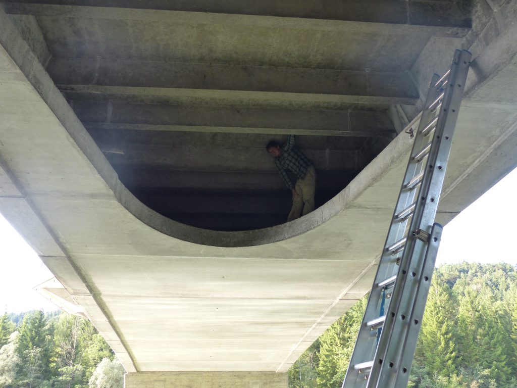 Quartierkontrolle Fledermäuse Landsberg Brücke