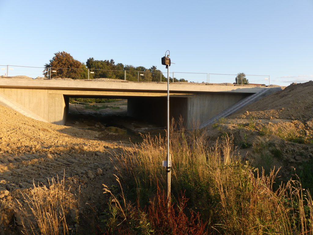 Batcorder Fledermauserfassung Oberbayern