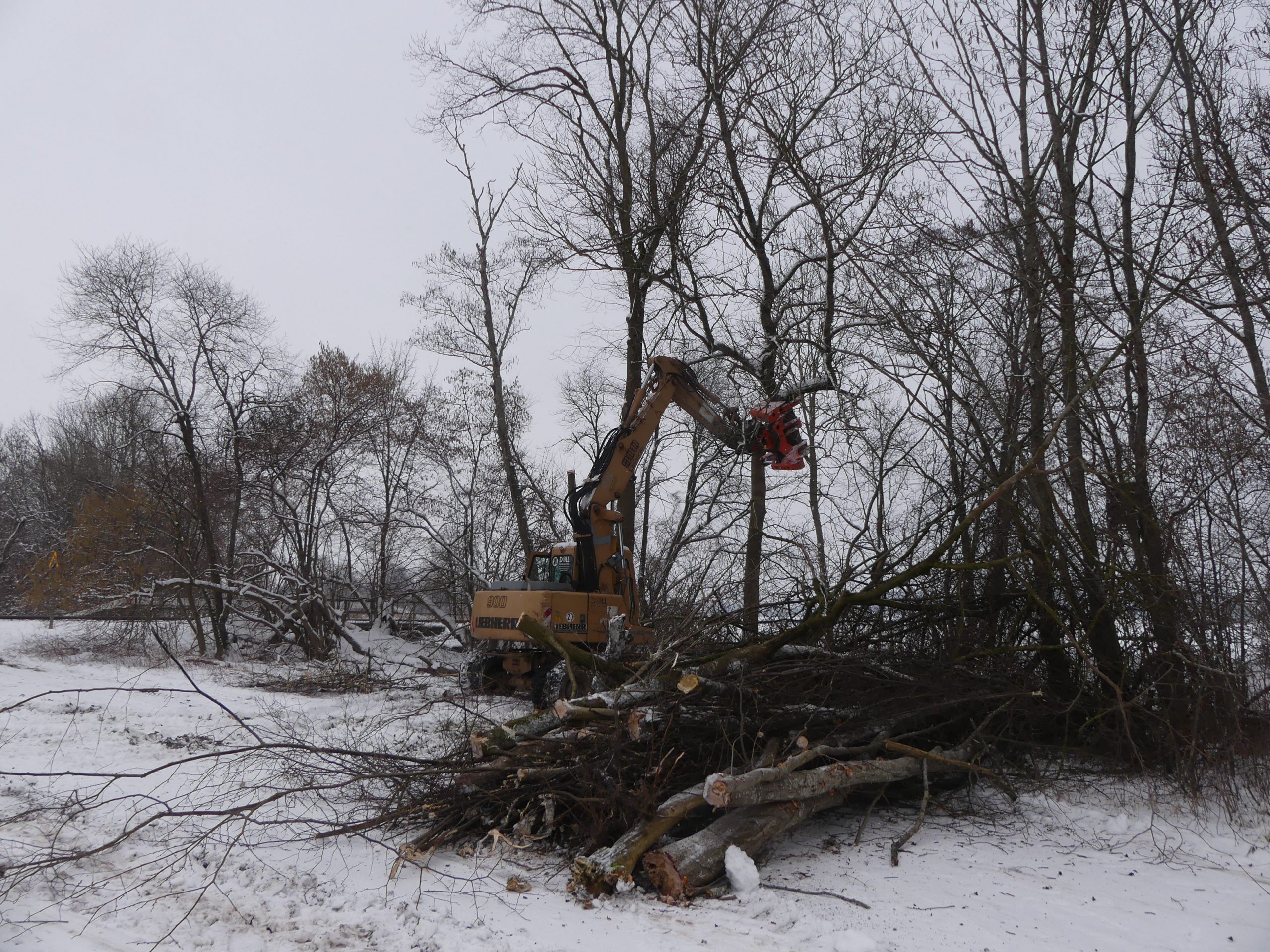 Ökologische Baubegleitung