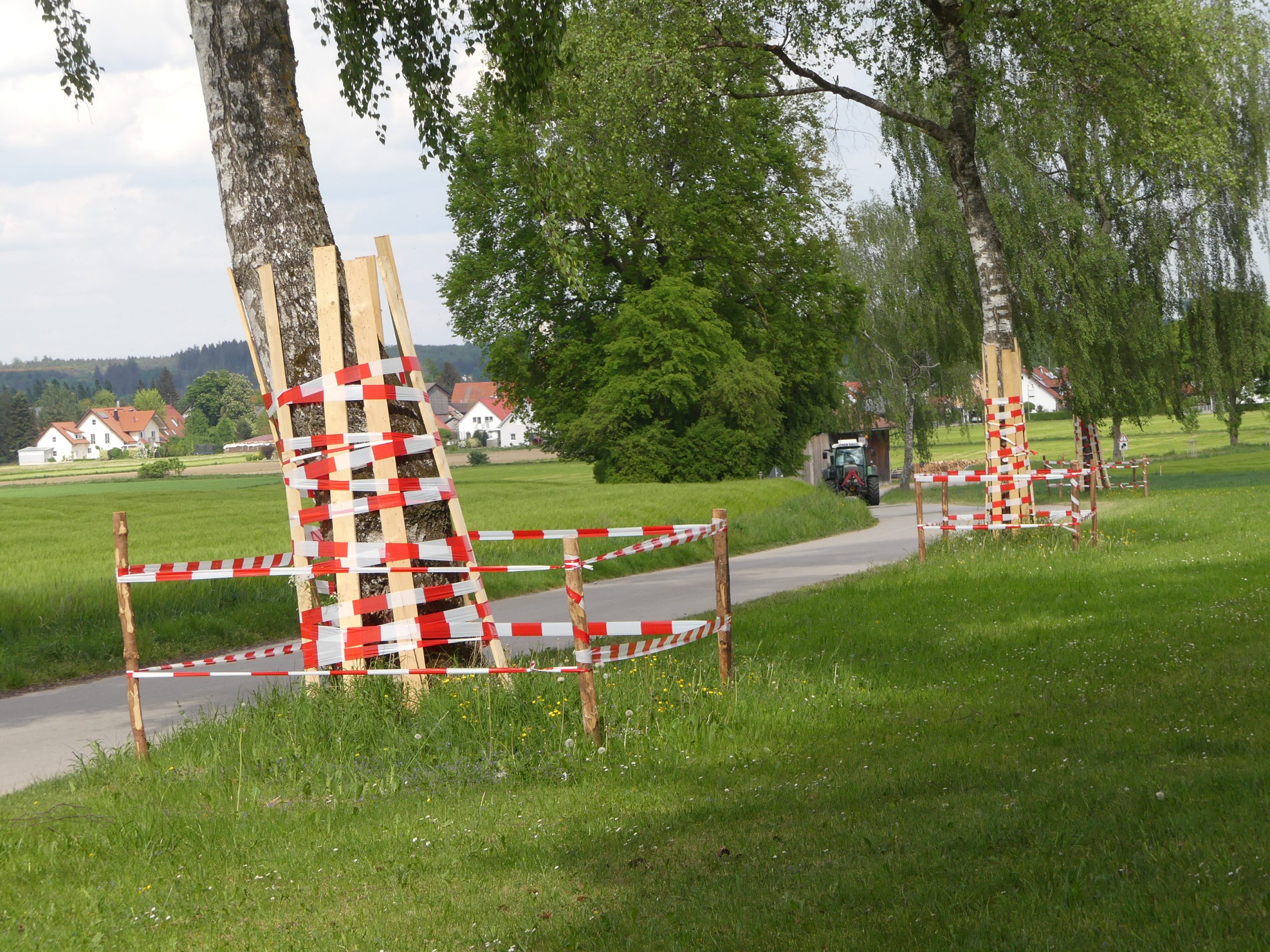 Baumschutzmaßnahmen Baumschutzmaßnahmen